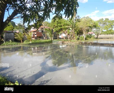 marelo gapan city